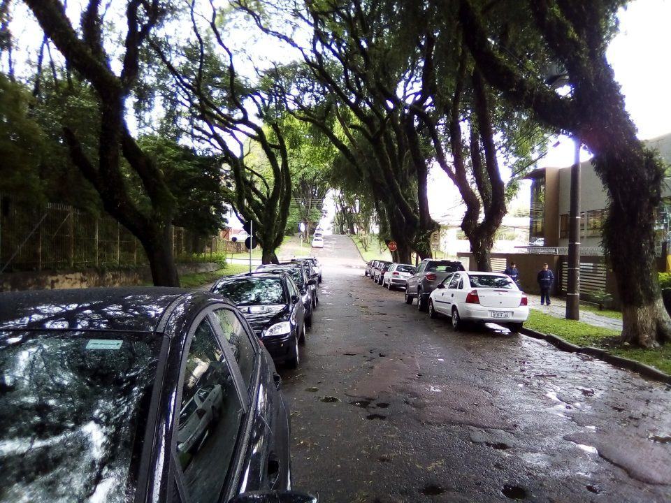 Foto ao ar livre, com muito detalhe, de uma rua com carros e árvores em dia de chuva.