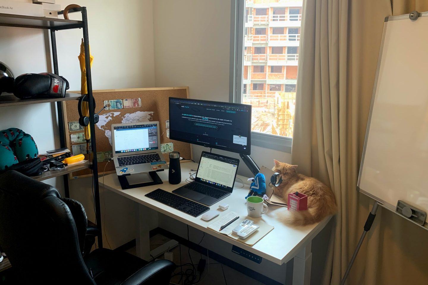 Foto à distância da mesa de trabalho em casa do Vinnie Rodrigues, com um gato laranja em cima.
