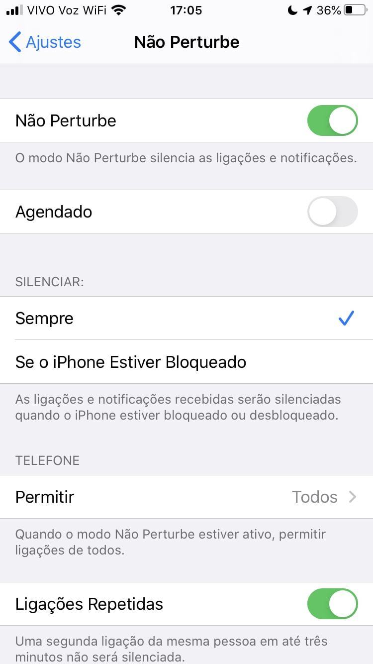 Print da tela de configurações do recurso Não Perturbe, no iOS 13.