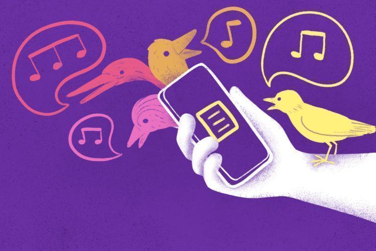 Ilustração de uma mão segurando um celular com o logo do Manual do Usuário na tela. Ao redor, passarinhos coloridos e balões de diálogo com notas musicais diferentes dentro.