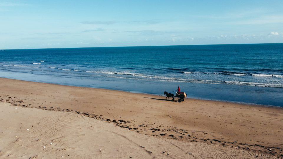 Foto de uma orla, com uma charrete puxada por um equino quase no meio do enquadramento, na areia, próxima ao mar.