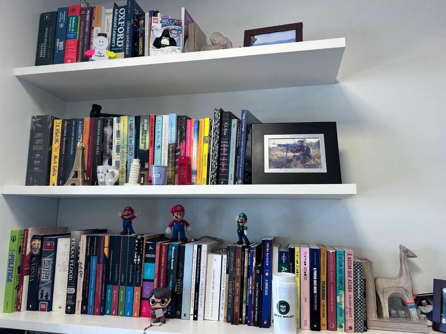 Detalhe das prateleiras de livros (três) e objetos decorativos.