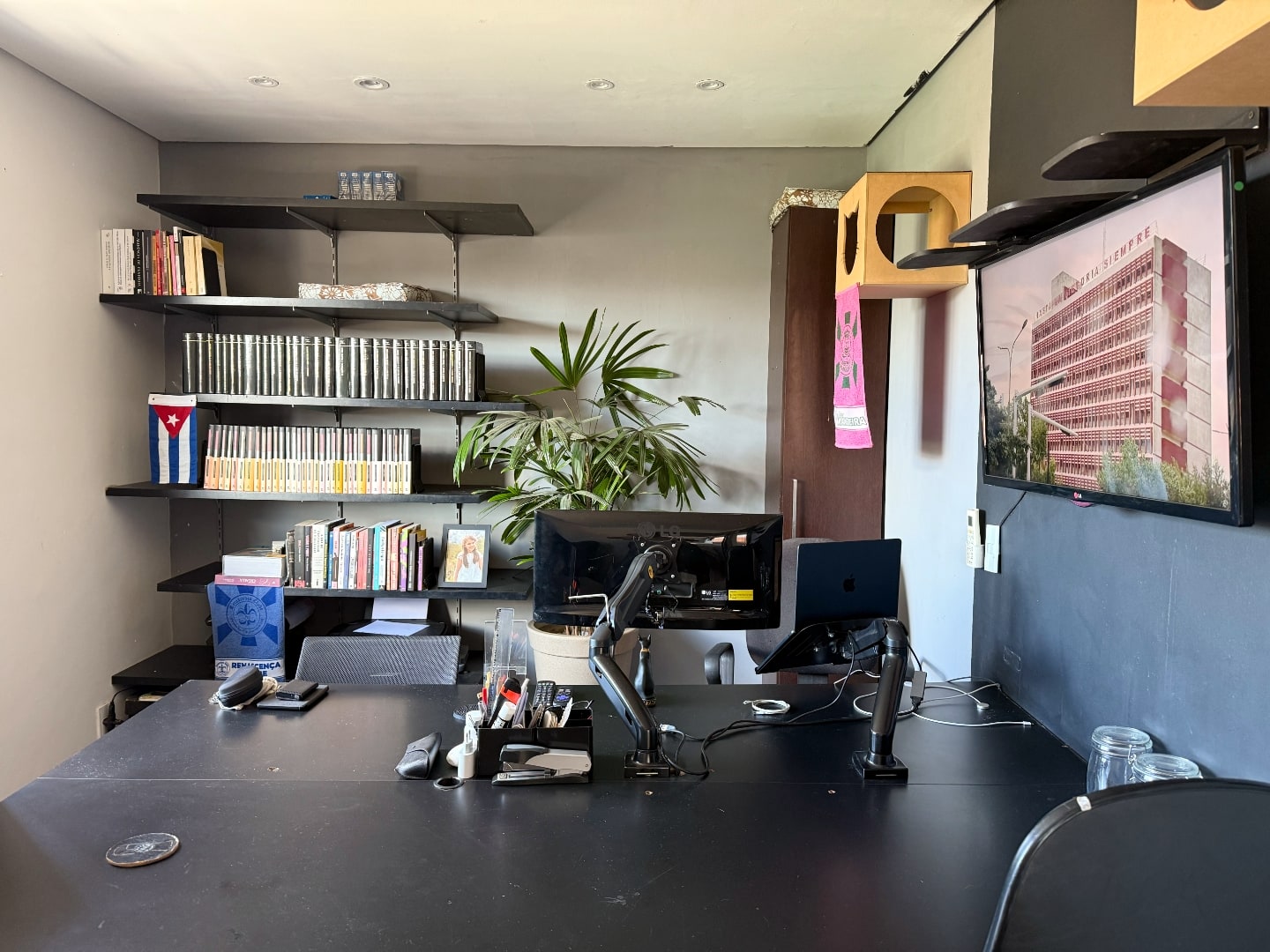 Foto de ângulo oposto da mesa do Leonardo, mostrando uma estante cheia de livros e uma planta atrás da mesa.