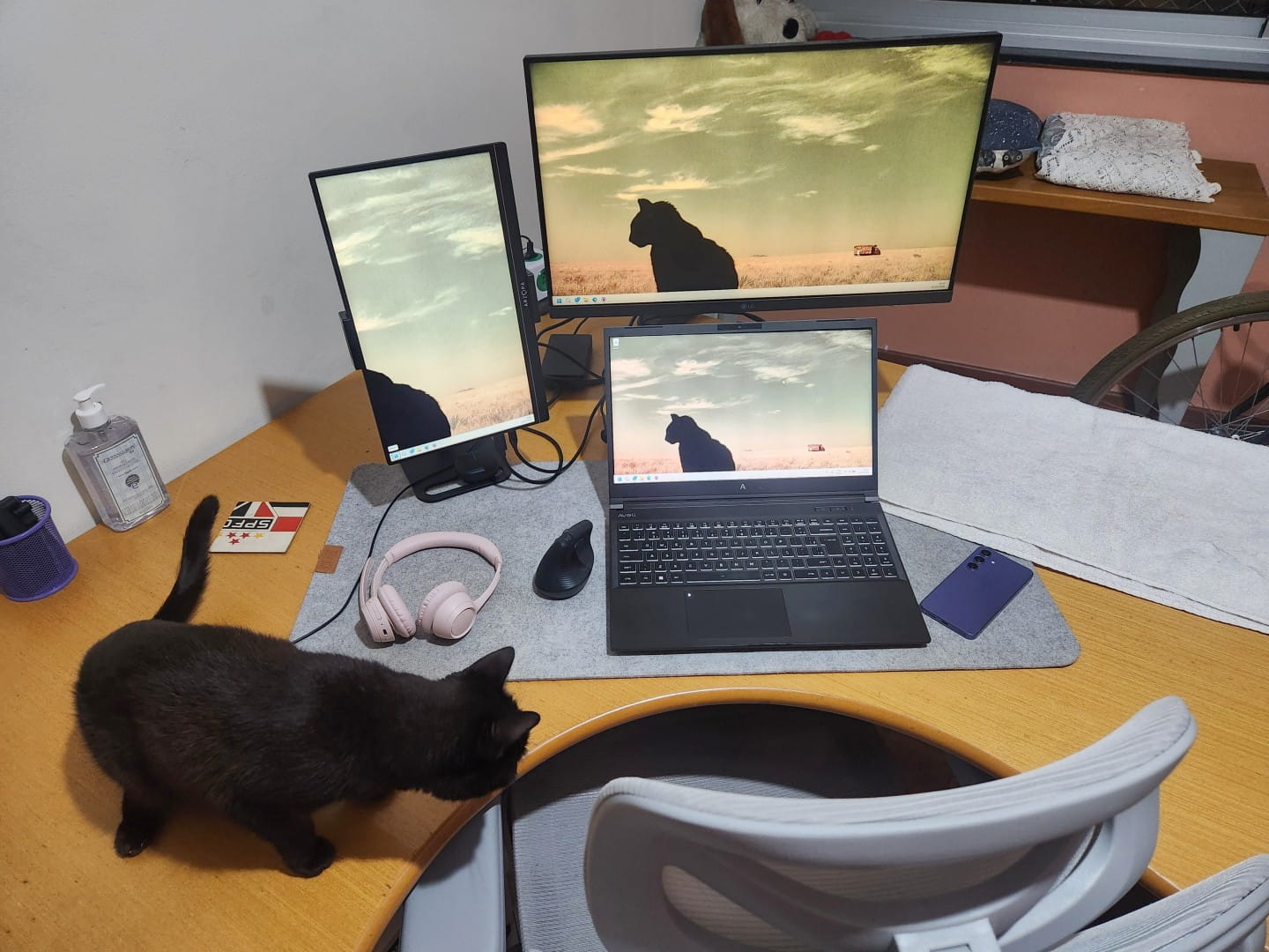 Imagem da disposição dos equipamentos na mesa. A primeira coisa que se vê é um gato preto, depois temos um notebook em primeiro plano, ao lado um monitor de aproximadamente 15 polegadas, colocado na vertical num suporte apoiado na mesa. Sobre o notebook um monitor de 24 polegadas num suporte tipo braço, preso à mesa. O mouse é do tipo ergonômico, vertical para canhoto. Temos um headset rosa e um fone TWS.